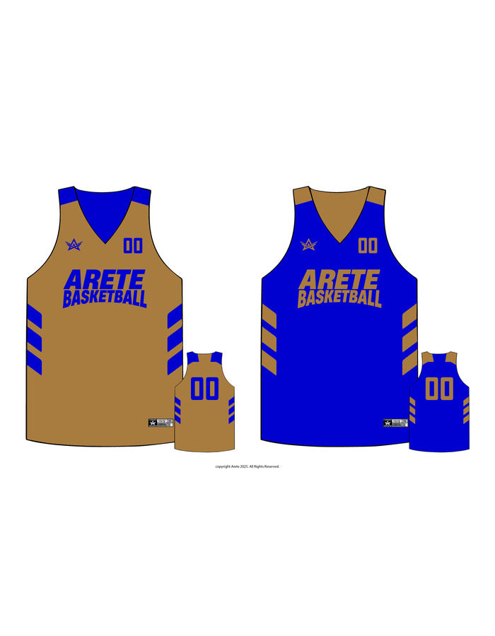 ARETE SWISH JERSEY